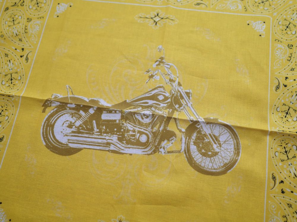 HARLEY DAVIDSON FXDWG