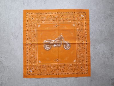 HARLEY-DAVIDSON スポーツスター