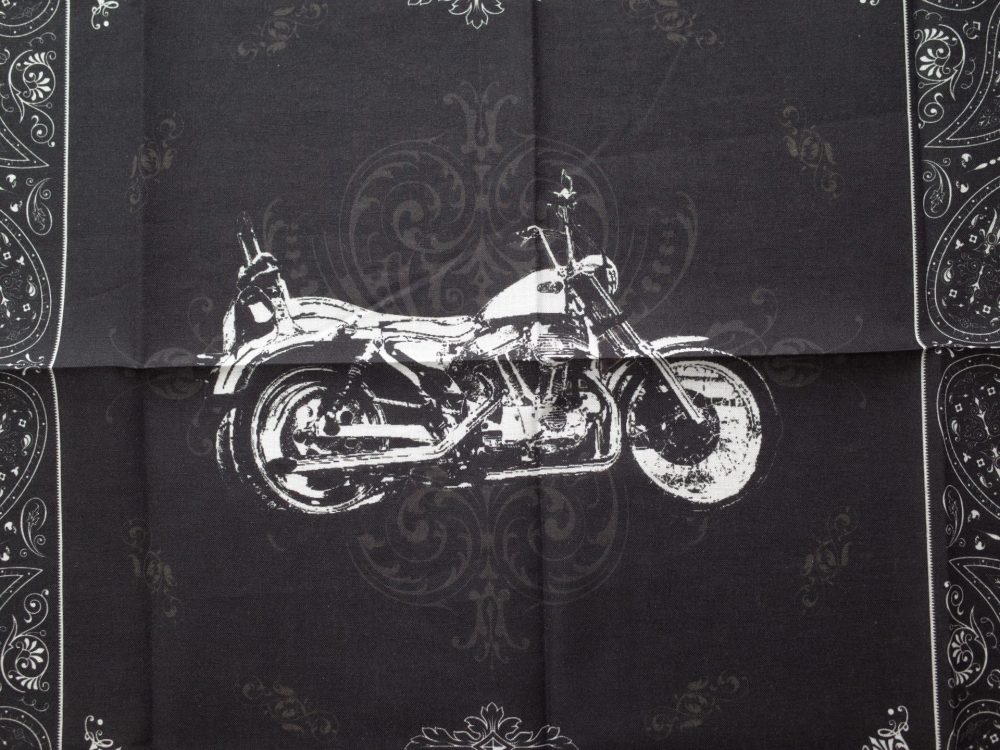 HARLEY DAVIDSON スポーツスター