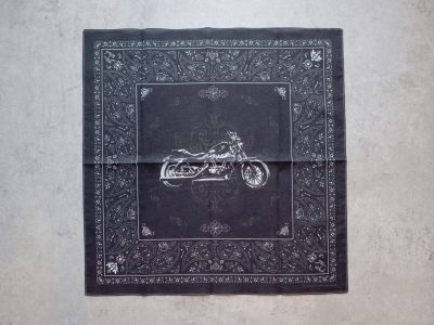 HARLEY DAVIDSON スポーツスター