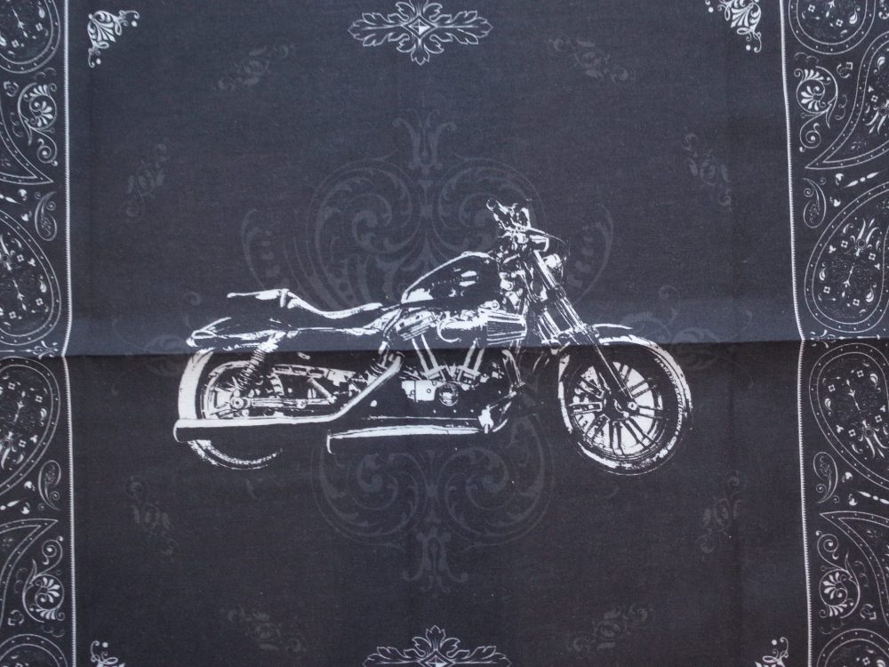 HARLEY DAVIDSON スポーツスター