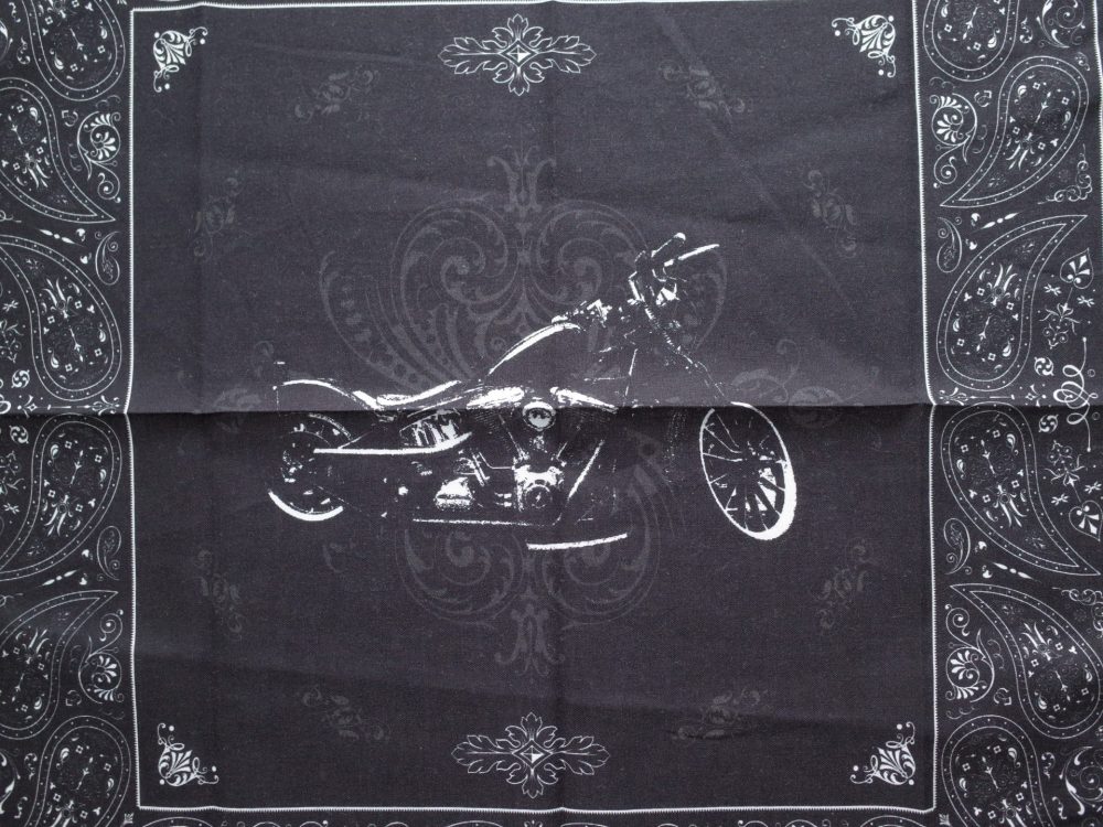 HARLEY DAVIDSON ソフテイル