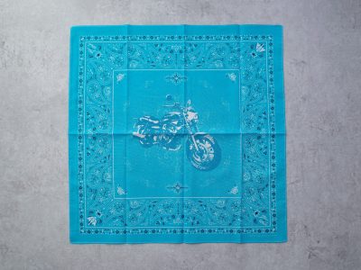 Kawasaki エリミネーター400