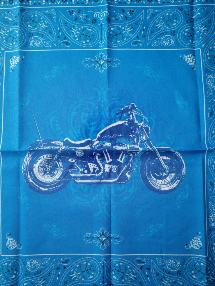 Harley Davidson スポーツスター