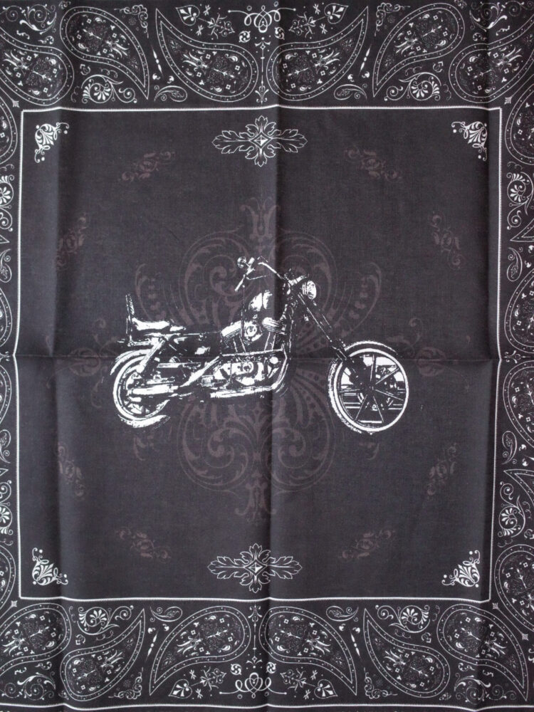 Harley Davidson スポーツスター chopper